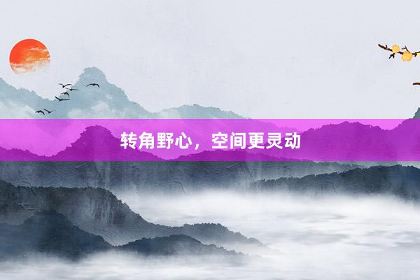 转角野心，空间更灵动