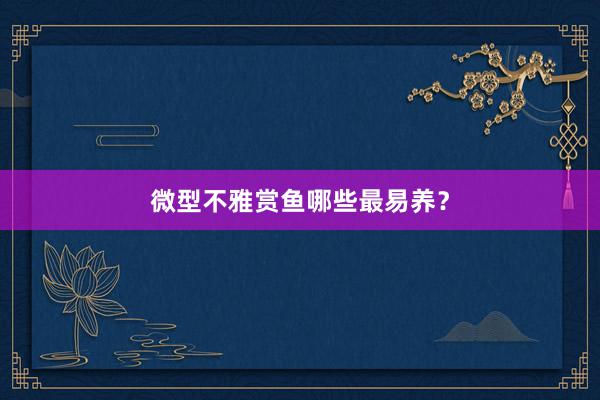 微型不雅赏鱼哪些最易养？